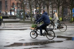 Weelz-Trip-Copenhague-Cyclistes-Urbains (6)