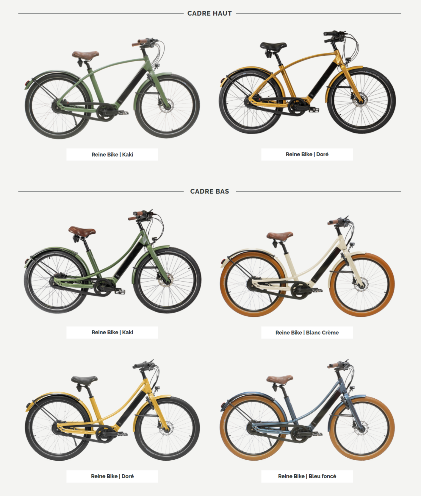 Reine Bike Modeles 2021 Coloris
