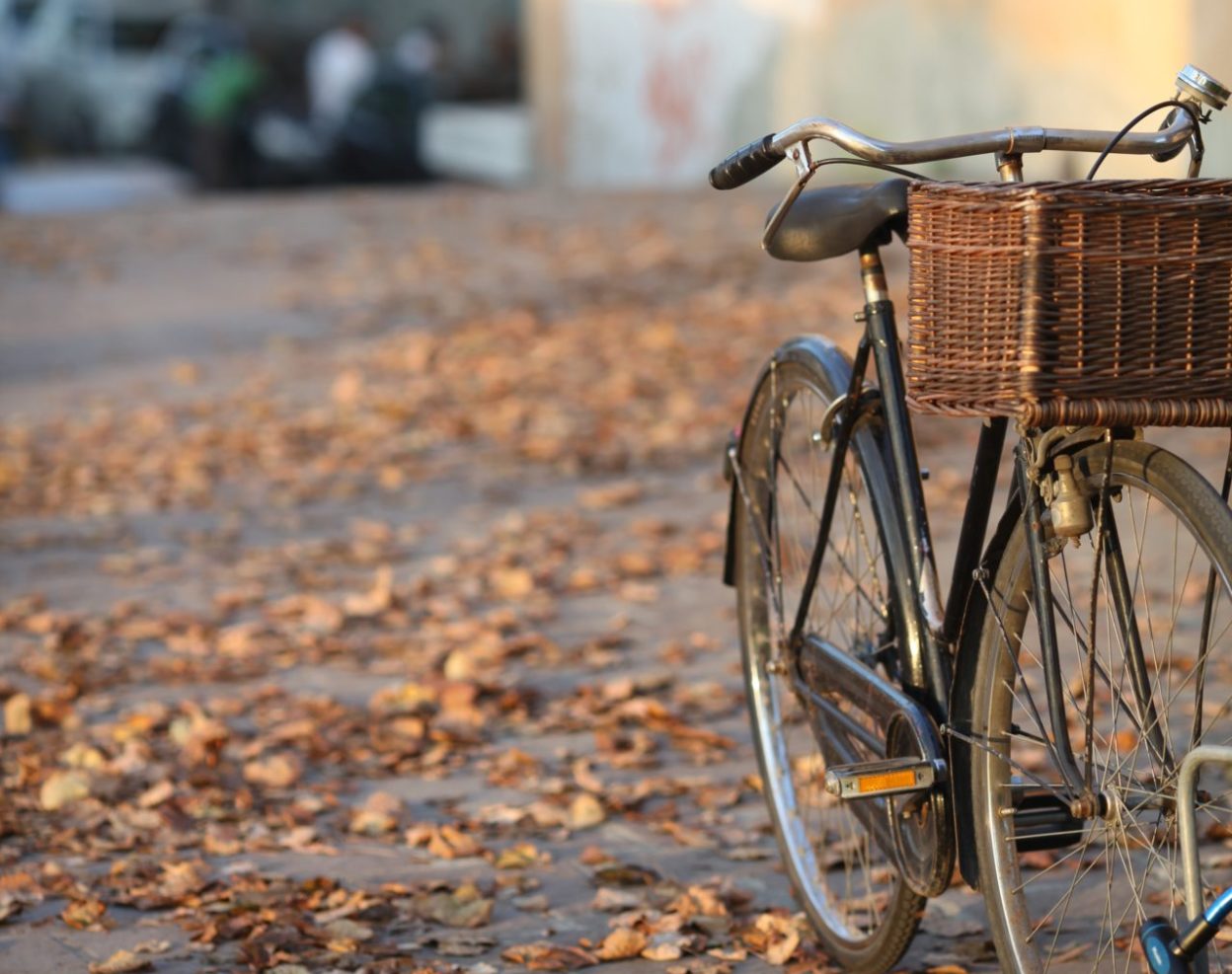 Les 7 bonnes raisons de rouler à vélo en automne 2021